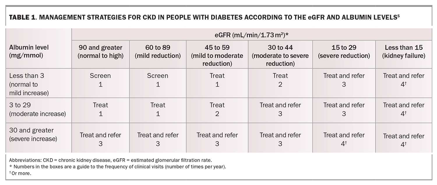 Preventing diabetic kidney disease progression an update Medicine Today